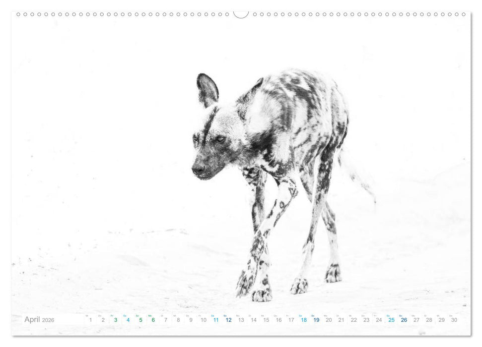 AFRIKA - Schwarz-weiss Fotografien im modernen "High Key" Look (CALVENDO Wandkalender 2026)