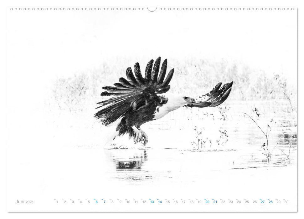 AFRIKA - Schwarz-weiss Fotografien im modernen "High Key" Look (CALVENDO Wandkalender 2026)