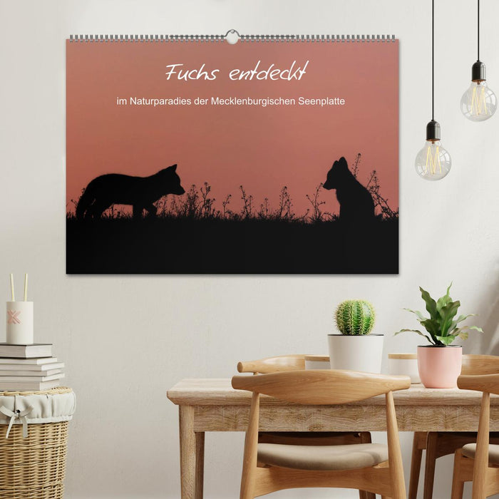 Fuchs entdeckt - im Naturparadies der Mecklenburgischen Seenplatte (CALVENDO Wandkalender 2026)