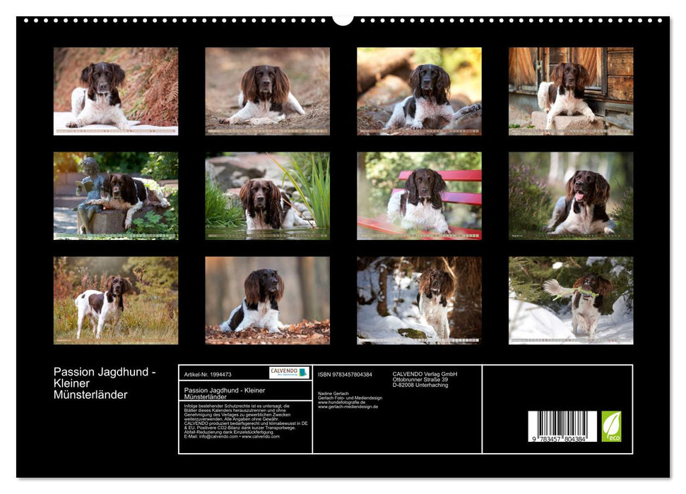 Passion Jagdhund - Kleiner Münsterländer (CALVENDO Premium Wandkalender 2026)