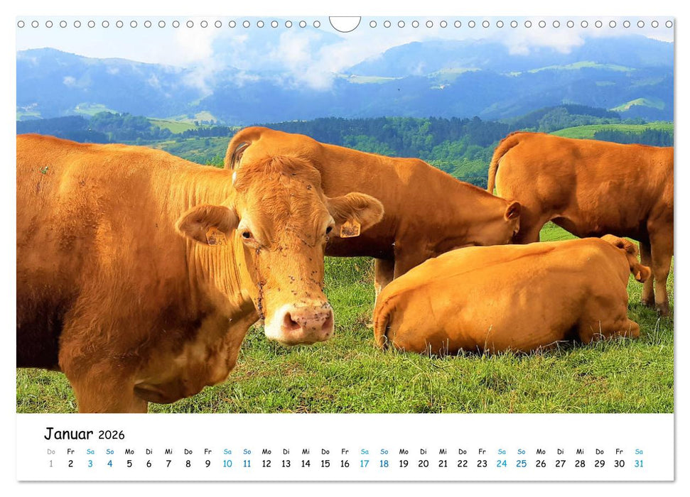 Camino del Norte - Ein Weg ohne Worte (CALVENDO Wandkalender 2026)