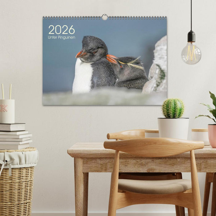 Unter Pinguinen (CALVENDO Wandkalender 2026)
