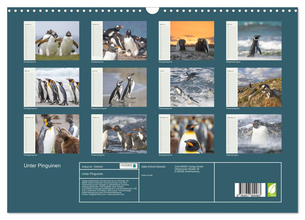 Unter Pinguinen (CALVENDO Wandkalender 2026)