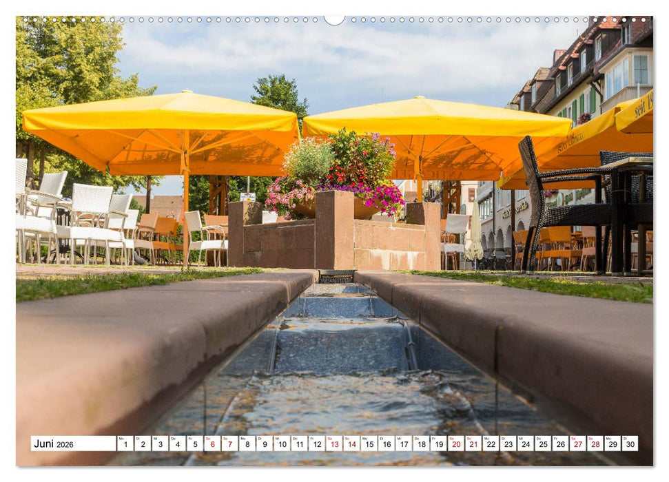 Freudenstadt im Schwarzwald - Wandkalender (CALVENDO Wandkalender 2026)