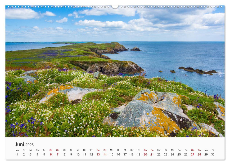 Naturschauspiel Irland (CALVENDO Wandkalender 2026)