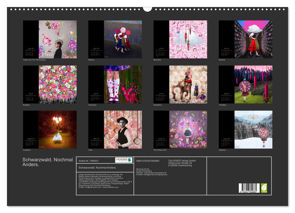 Schwarzwald. Nochmal Anders. (CALVENDO Wandkalender 2026)