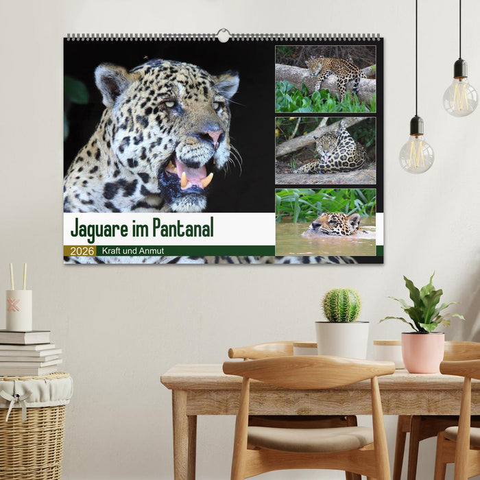 Jaguare im Pantanal (CALVENDO Wandkalender 2026)