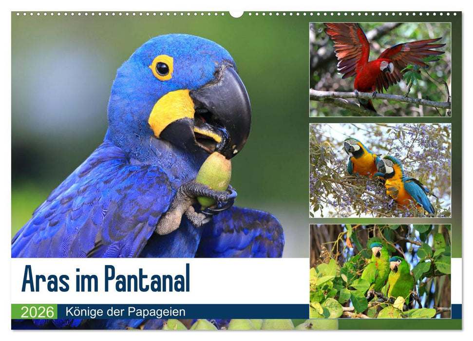 Aras im Pantanal (CALVENDO Wandkalender 2026)