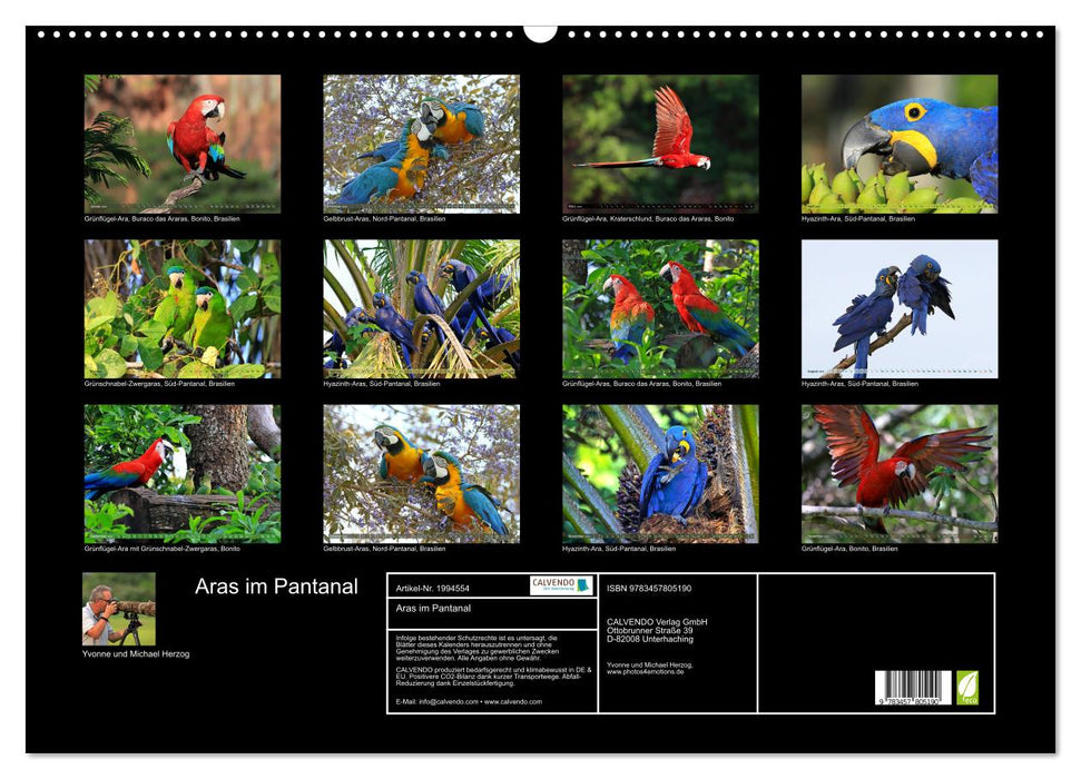 Aras im Pantanal (CALVENDO Wandkalender 2026)
