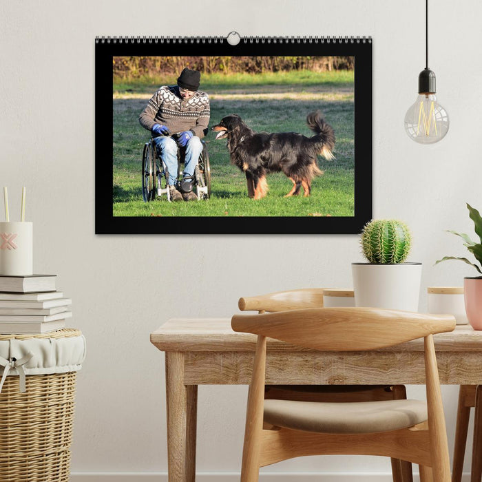 Der Hovawart... Dein Freund fürs Leben ! (CALVENDO Wandkalender 2026)