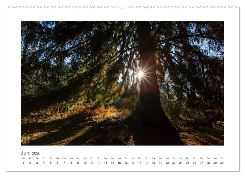 Kasseler Landschaften (CALVENDO Wandkalender 2026)