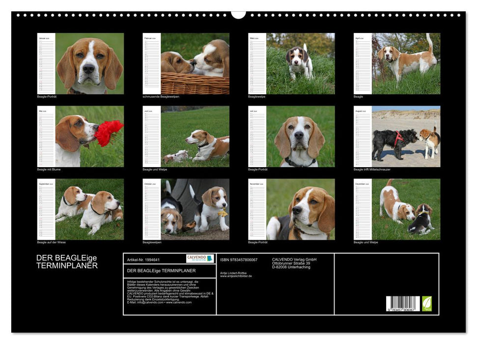 DER BEAGLEige TERMINPLANER (CALVENDO Wandkalender 2026)