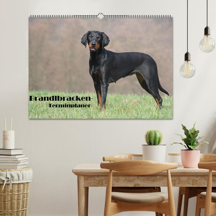 Der Brandlbracken-Terminplaner (CALVENDO Wandkalender 2026)