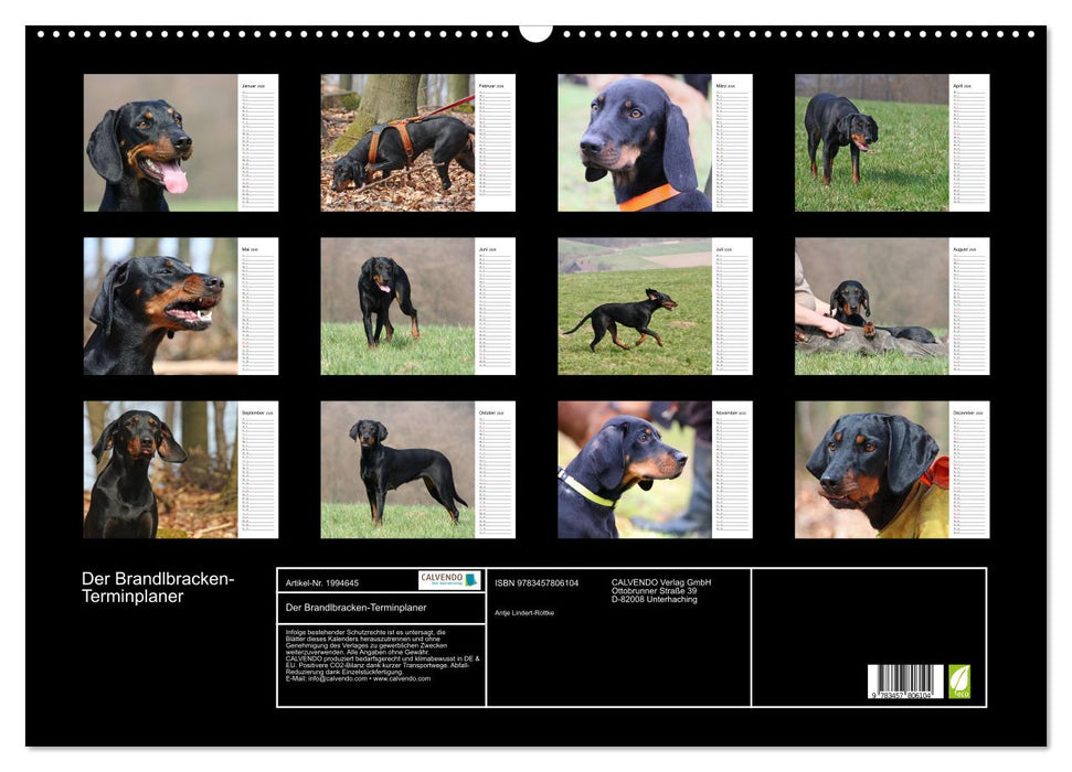 Der Brandlbracken-Terminplaner (CALVENDO Wandkalender 2026)