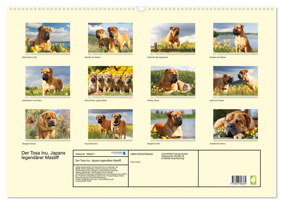 Der Tosa Inu. Japans legendärer Mastiff (CALVENDO Wandkalender 2026)