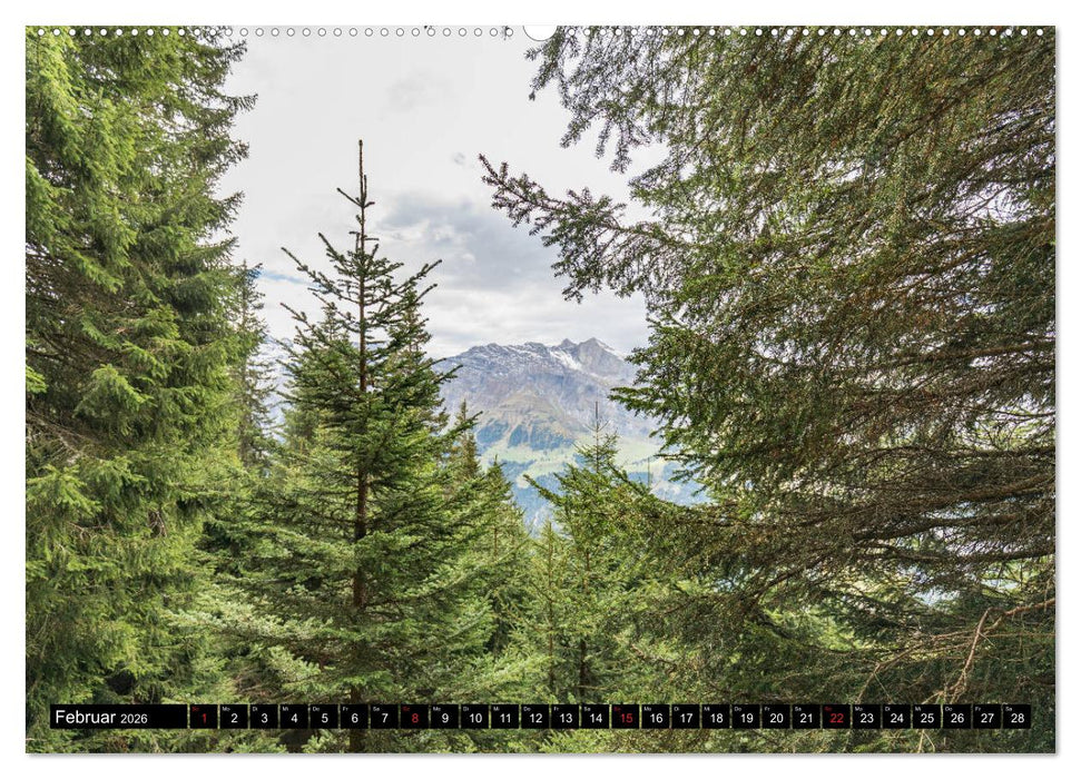 Das Emmental (CALVENDO Premium Wandkalender 2026)