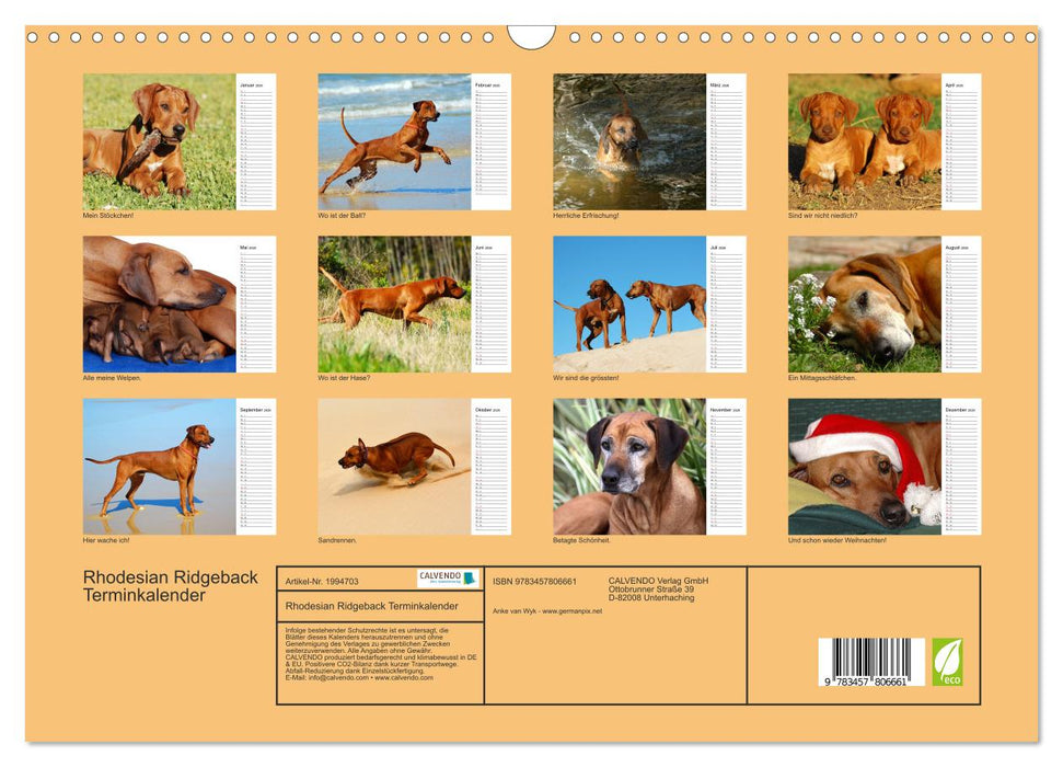 Rhodesian Ridgeback Terminkalender (CALVENDO Wandkalender 2026)