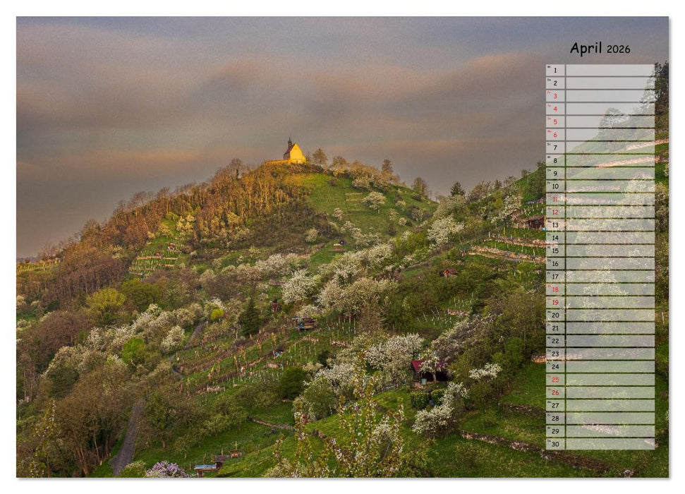 Rund um die Wurmlinger Kapelle (CALVENDO Wandkalender 2026)