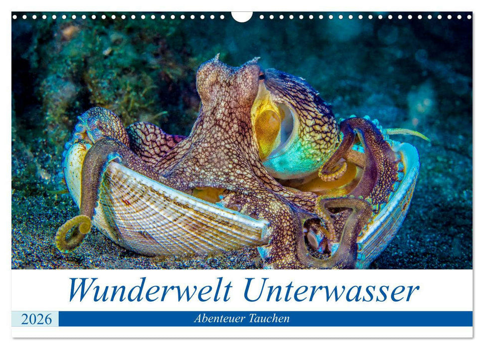 Wunderwelt Unterwasser (CALVENDO Wandkalender 2026)