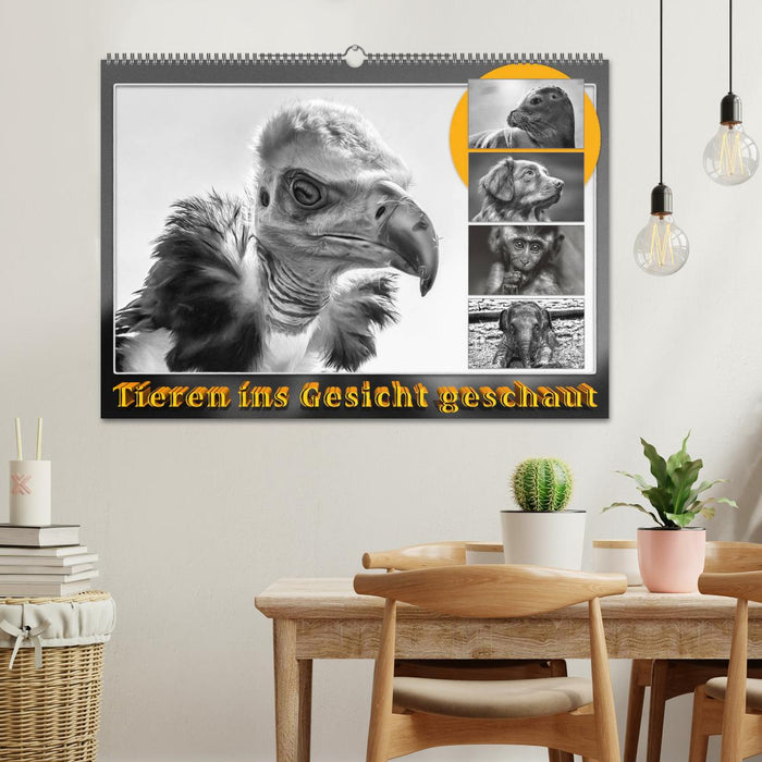 Tieren ins Gesicht geschaut (CALVENDO Wandkalender 2026)