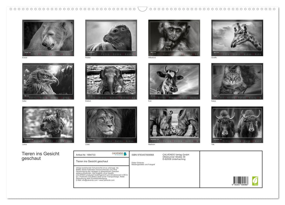 Tieren ins Gesicht geschaut (CALVENDO Wandkalender 2026)