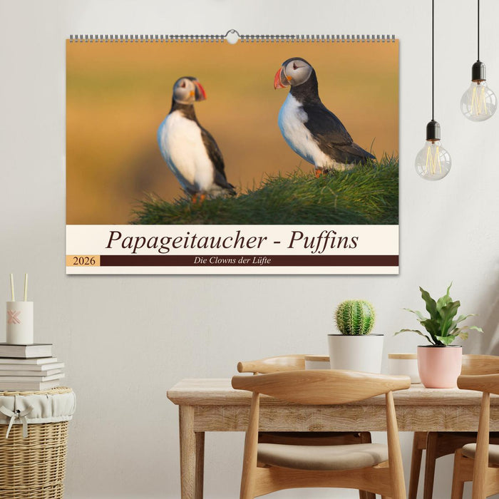 Papageitaucher - Puffins (CALVENDO Wandkalender 2026)