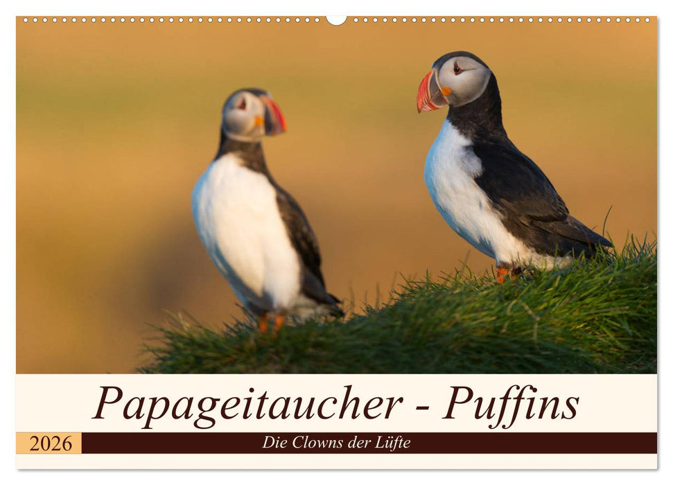 Papageitaucher - Puffins (CALVENDO Wandkalender 2026)