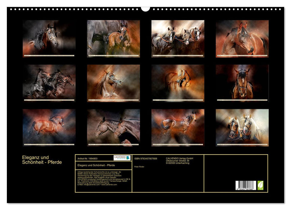 Eleganz und Schönheit - Pferde (CALVENDO Wandkalender 2026)