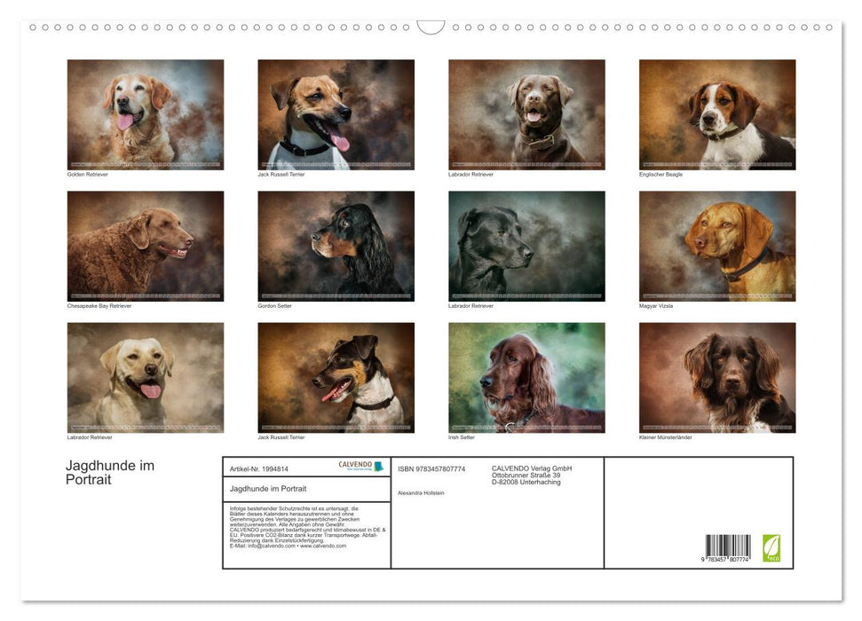 Jagdhunde im Portrait (CALVENDO Wandkalender 2026)