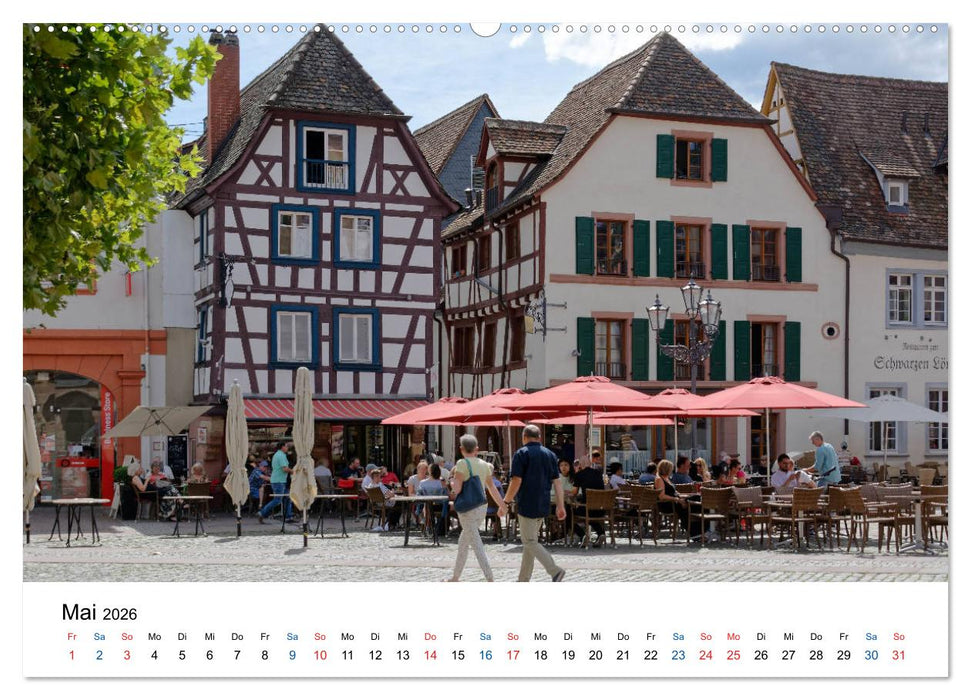 Neustadt an der Weinstraße - Ansichtssache (CALVENDO Wandkalender 2026)