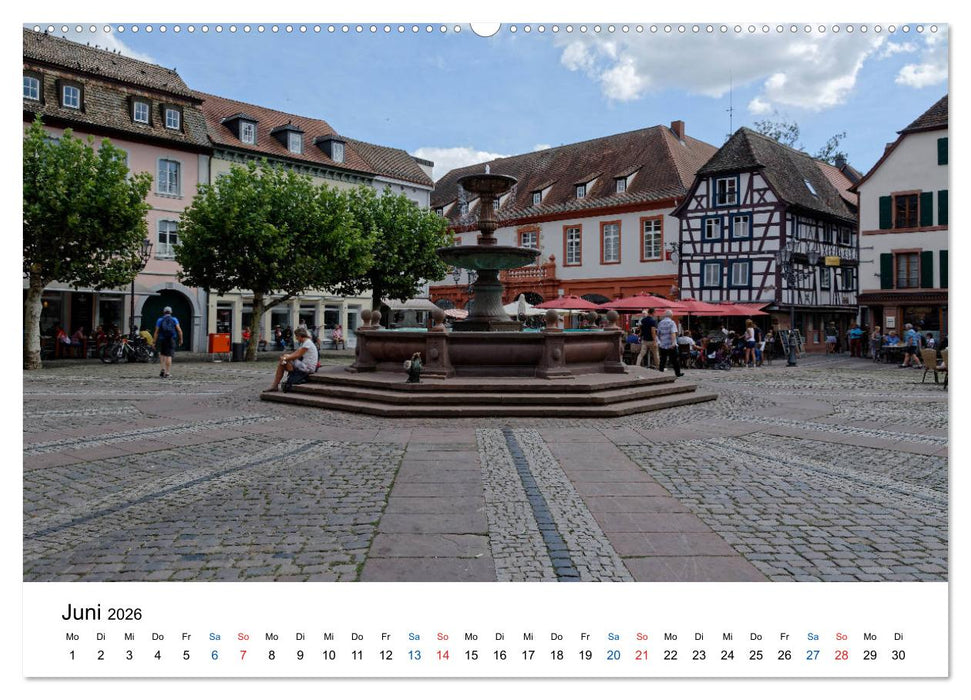 Neustadt an der Weinstraße - Ansichtssache (CALVENDO Wandkalender 2026)
