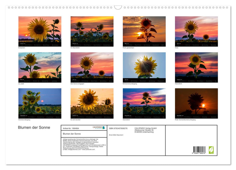 Blumen der Sonne (CALVENDO Wandkalender 2026)