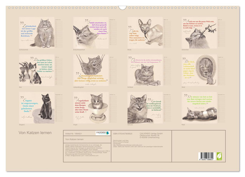 Von Katzen lernen (CALVENDO Wandkalender 2026)