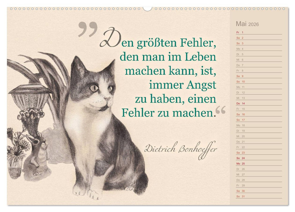 Von Katzen lernen (CALVENDO Wandkalender 2026)