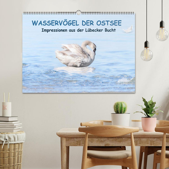 Wasservögel der Ostsee - Impressionen aus der Lübecker Bucht (CALVENDO Wandkalender 2026)