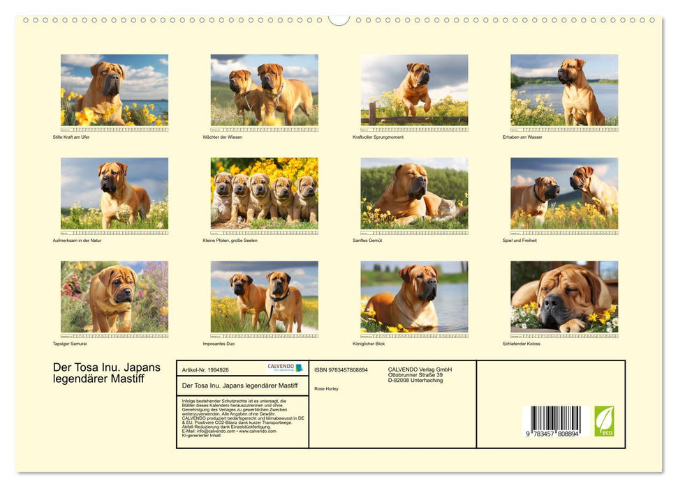Der Tosa Inu. Japans legendärer Mastiff (CALVENDO Premium Wandkalender 2026)