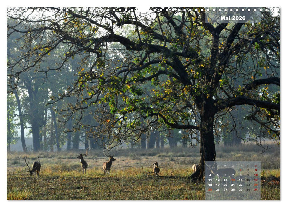 Wilde Tiere Indiens (CALVENDO Wandkalender 2026)