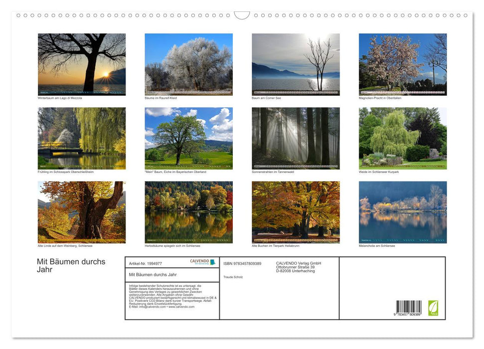 Mit Bäumen durchs Jahr (CALVENDO Wandkalender 2026)
