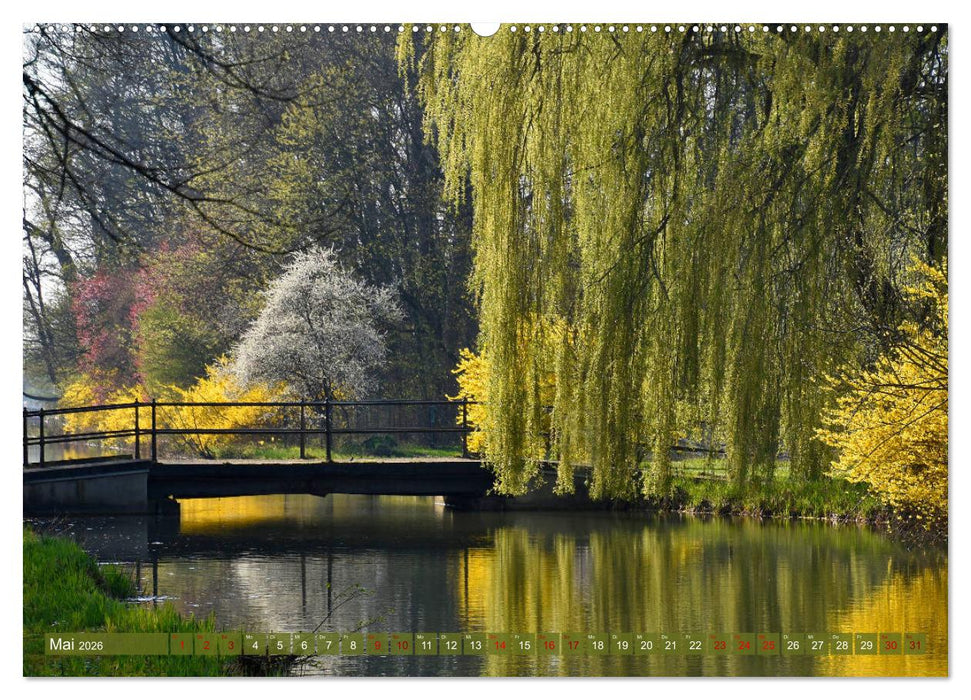 Mit Bäumen durchs Jahr (CALVENDO Wandkalender 2026)