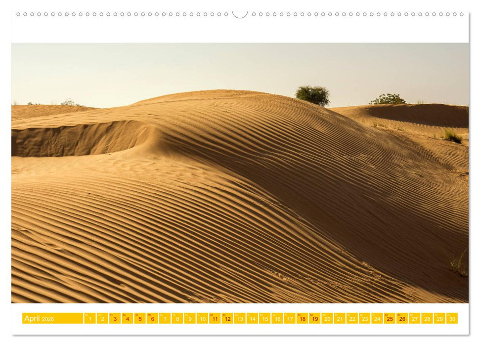 Die Wüste von Dubai (CALVENDO Wandkalender 2026)