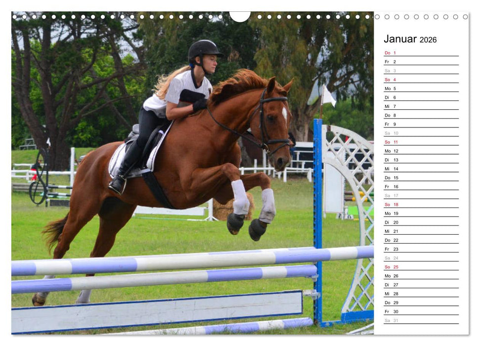 Mein Reitsport Kalender (CALVENDO Wandkalender 2026)