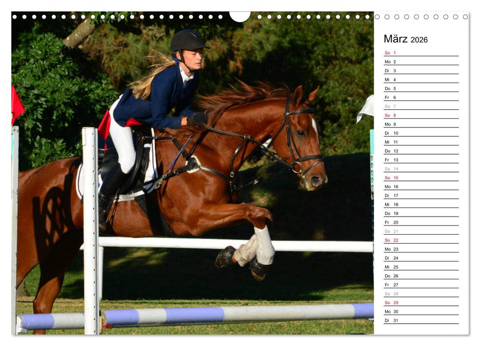 Mein Reitsport Kalender (CALVENDO Wandkalender 2026)