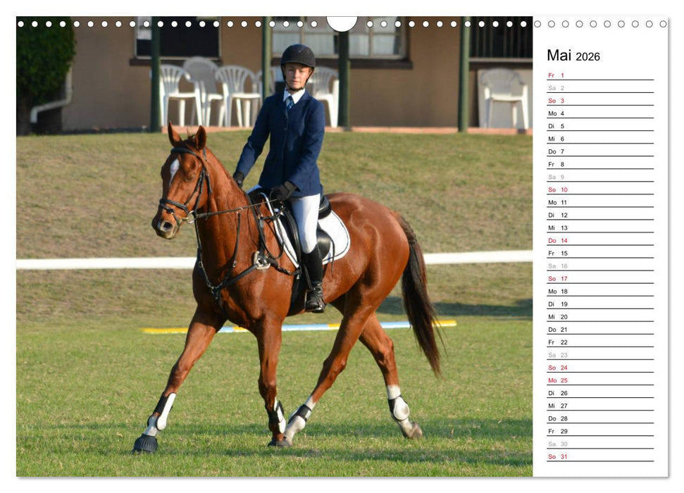 Mein Reitsport Kalender (CALVENDO Wandkalender 2026)
