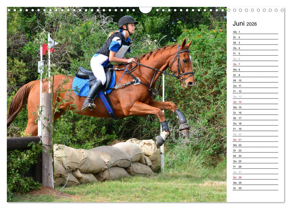 Mein Reitsport Kalender (CALVENDO Wandkalender 2026)