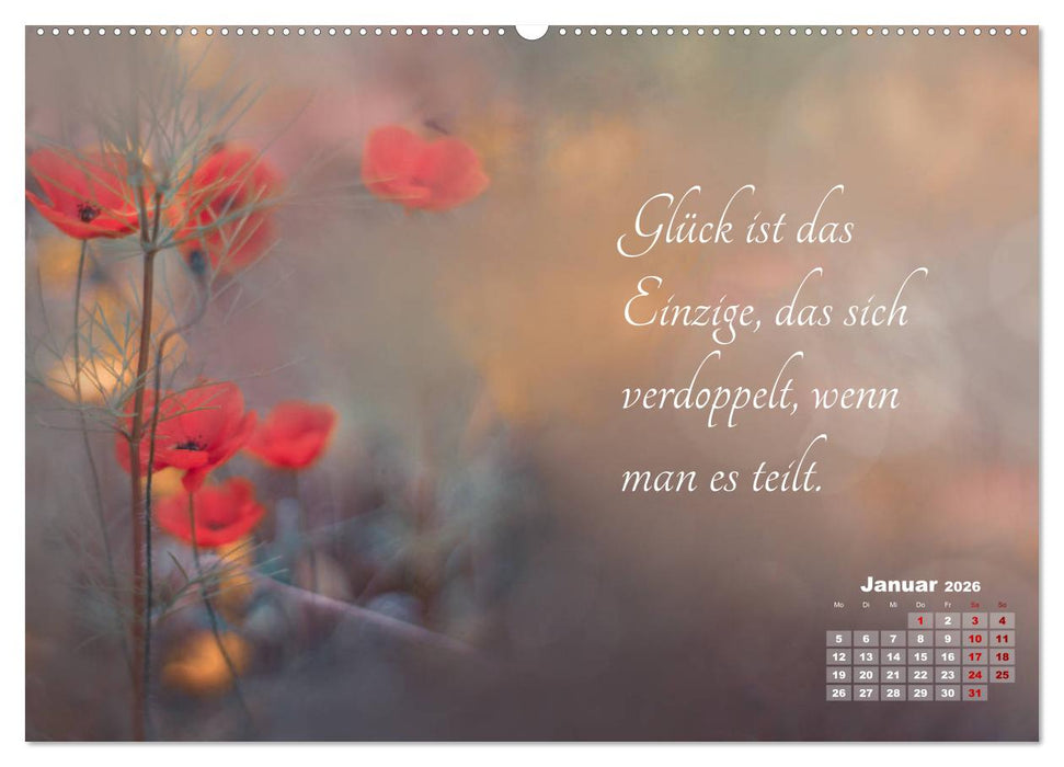 Chinesische Weisheiten (CALVENDO Wandkalender 2026)