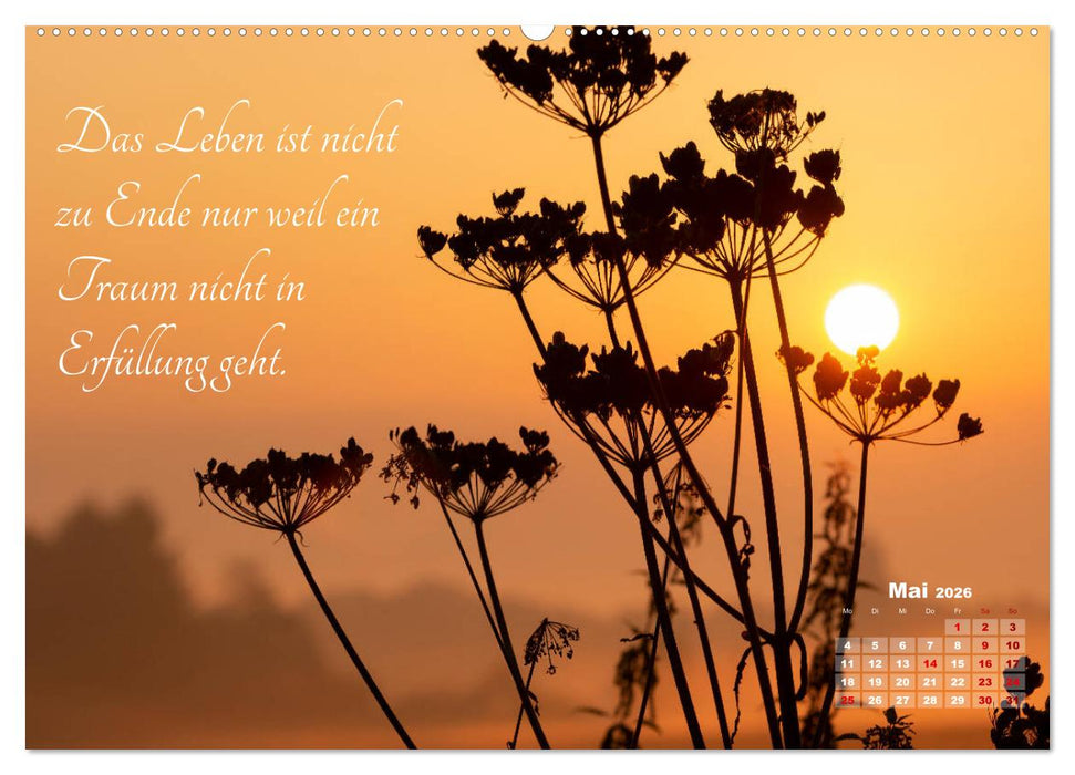 Chinesische Weisheiten (CALVENDO Wandkalender 2026)