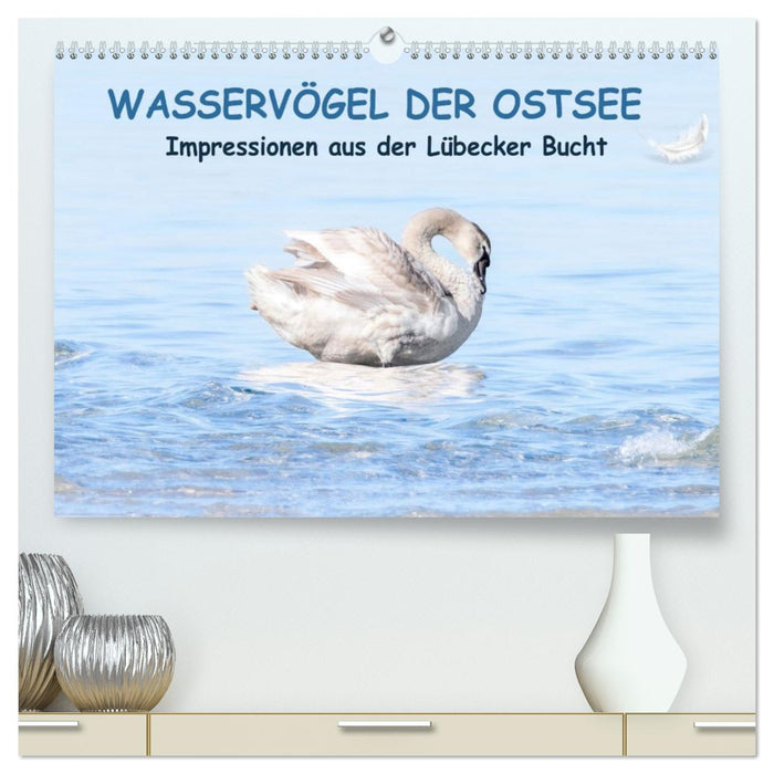 Wasservögel der Ostsee - Impressionen aus der Lübecker Bucht (CALVENDO Premium Wandkalender 2026)