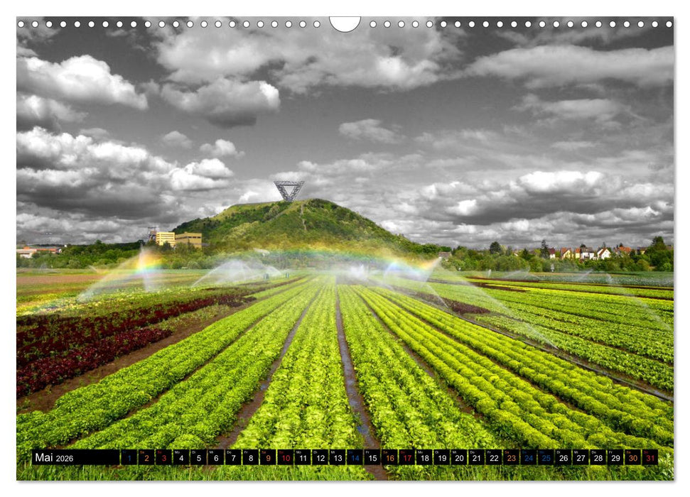 Das westliche Saarland klein aber fein (CALVENDO Wandkalender 2026)