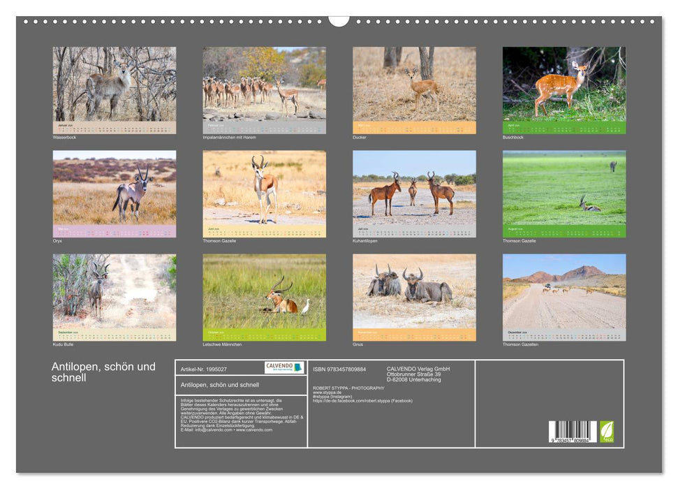 Antilopen, schön und schnell (CALVENDO Wandkalender 2026)
