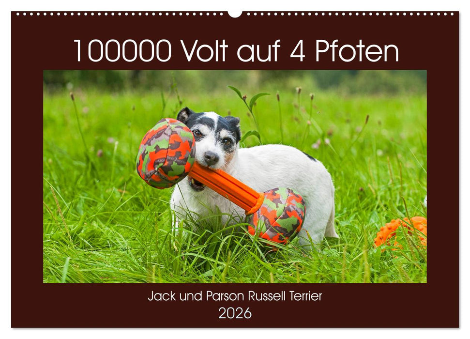 100000 Volt auf vier Pfoten - Jack und Parson Russell Terrier (CALVENDO Wandkalender 2026)